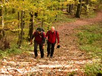 Zloty Lisc 2021 (32)